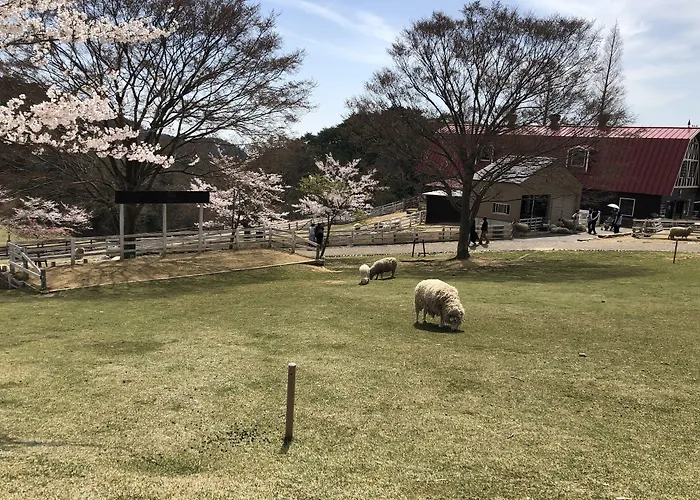 Smile Hotel Kobe Motomachi
